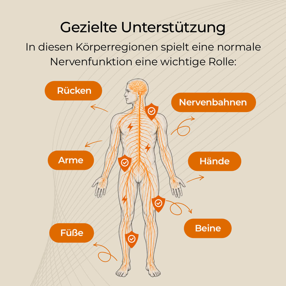 Leonexin® Komplex Kapseln (90 Tage Rückgaberecht)