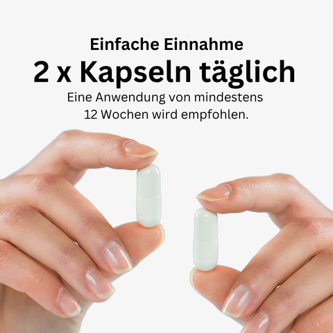 Leonexin® Komplex Kapseln (90 Tage Rückgaberecht)